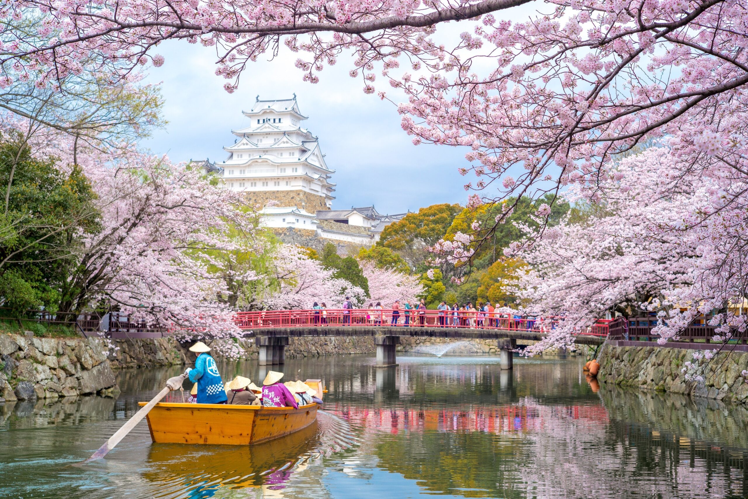 Osaka mùa hoa anh đào