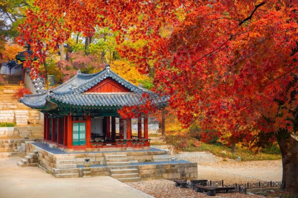 Changdeokgung mùa thu